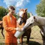 В Алтайском крае стартовал первый региональный сельскохозяйственный проект «Алтай: сила земли»