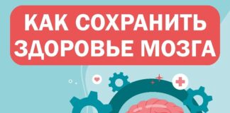Умственная активность и правильное питание