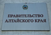 145 стажировок провели для алтайских подростков в рамках корпоративного наставничества