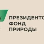 Увлекающиеся защитой природы студенты Алтайского края могут получить особую стипендию