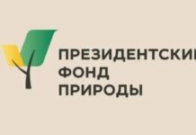 Увлекающиеся защитой природы студенты Алтайского края могут получить особую стипендию