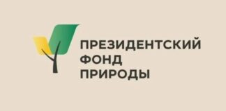 Увлекающиеся защитой природы студенты Алтайского края могут получить особую стипендию