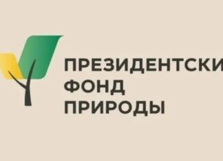 Увлекающиеся защитой природы студенты Алтайского края могут получить особую стипендию